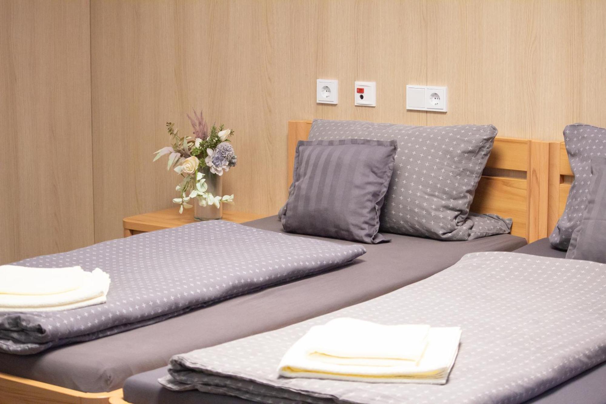 Green Night Hotel Falkenstein  エクステリア 写真